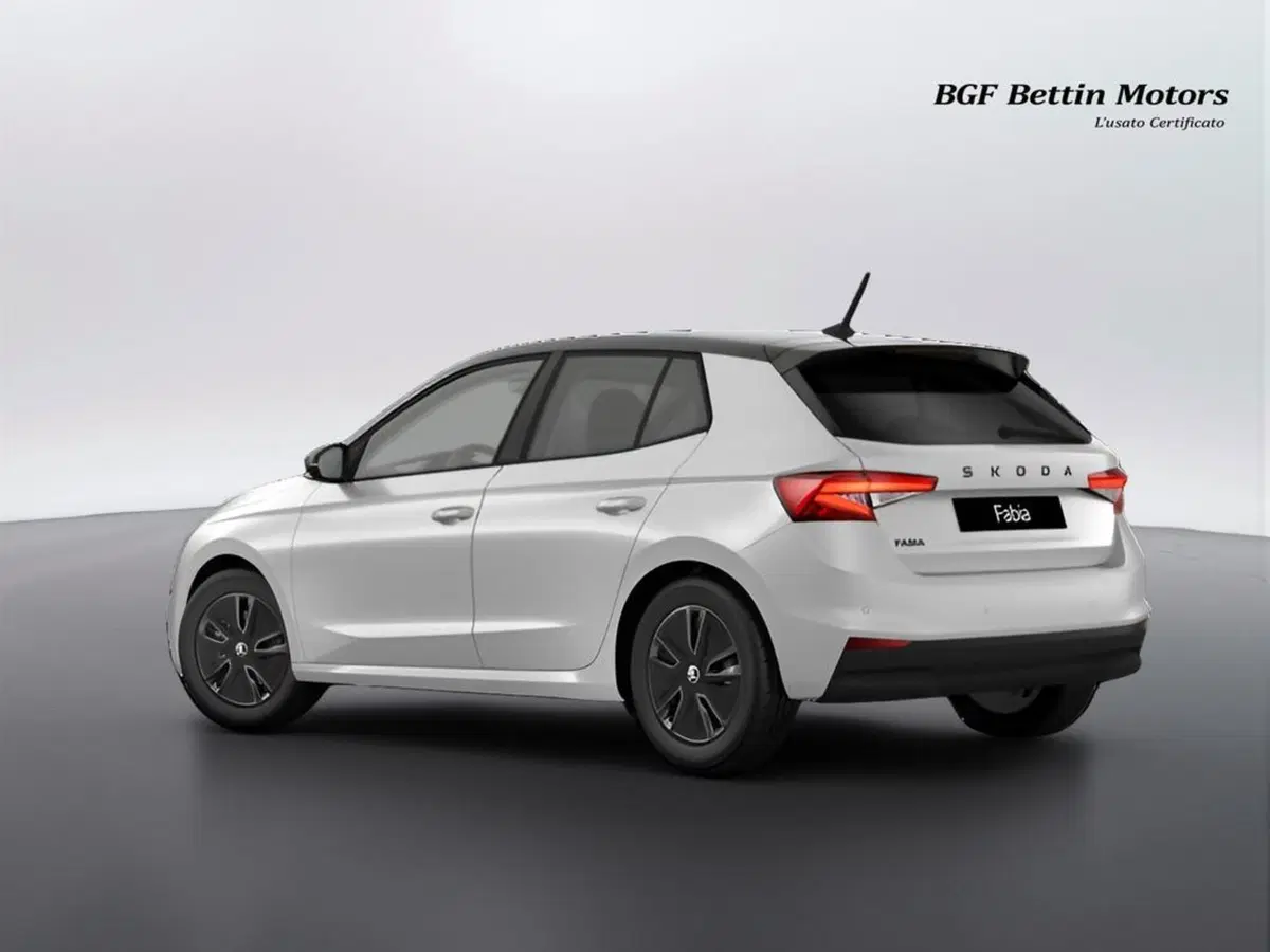 Skoda Fabia nuova a Padova (2)