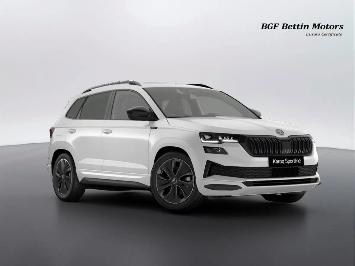 Vendo Skoda Karoq 2.0 TDI EVO SCR 4x4 DSG SportLine nuova a Piove di ...