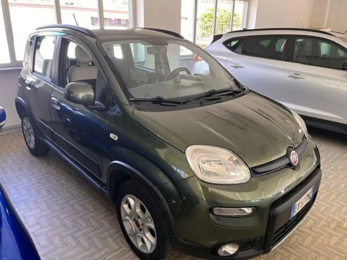 Fiat Panda usata a Verbano Cusio Ossola