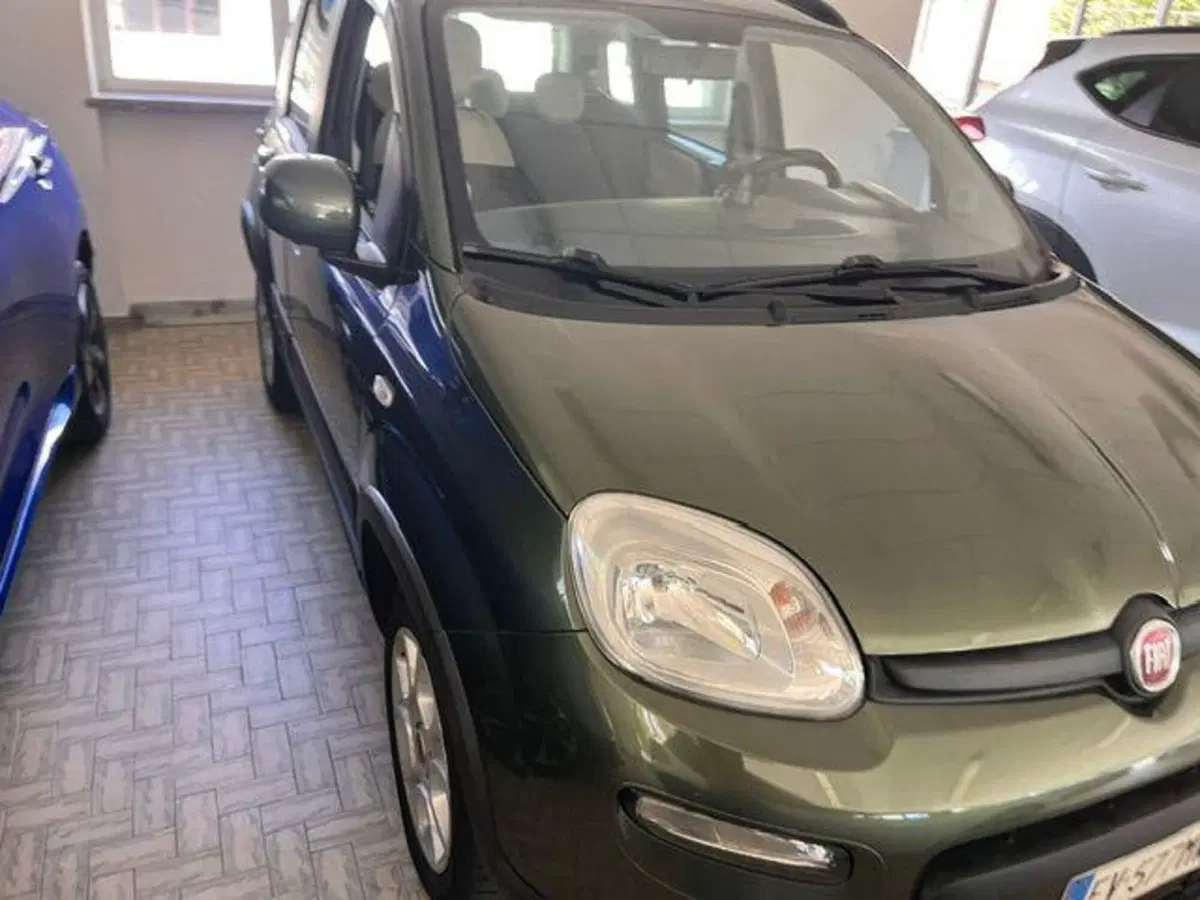 Fiat Panda usata a Verbano Cusio Ossola (4)