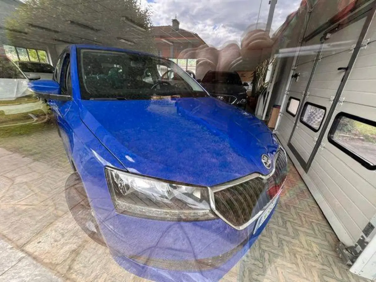 Skoda Fabia usata a Verbano Cusio Ossola (19)