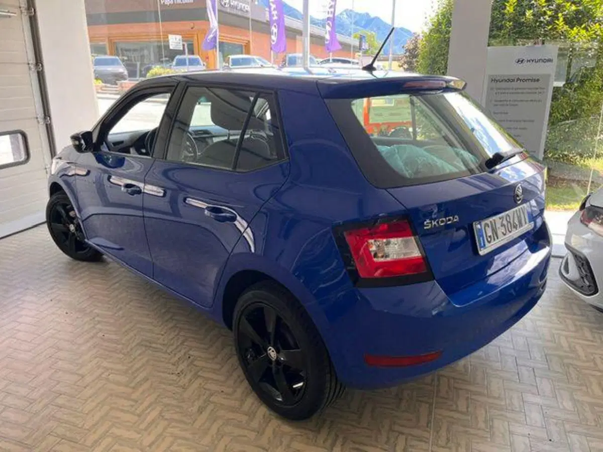 Skoda Fabia usata a Verbano Cusio Ossola (2)