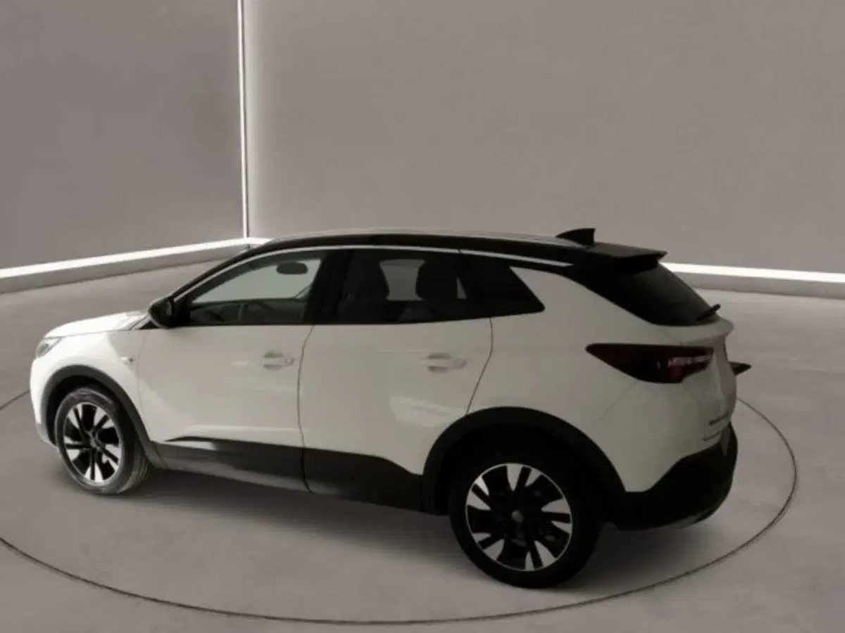 Opel Grandland X usata a Caltanissetta (2)