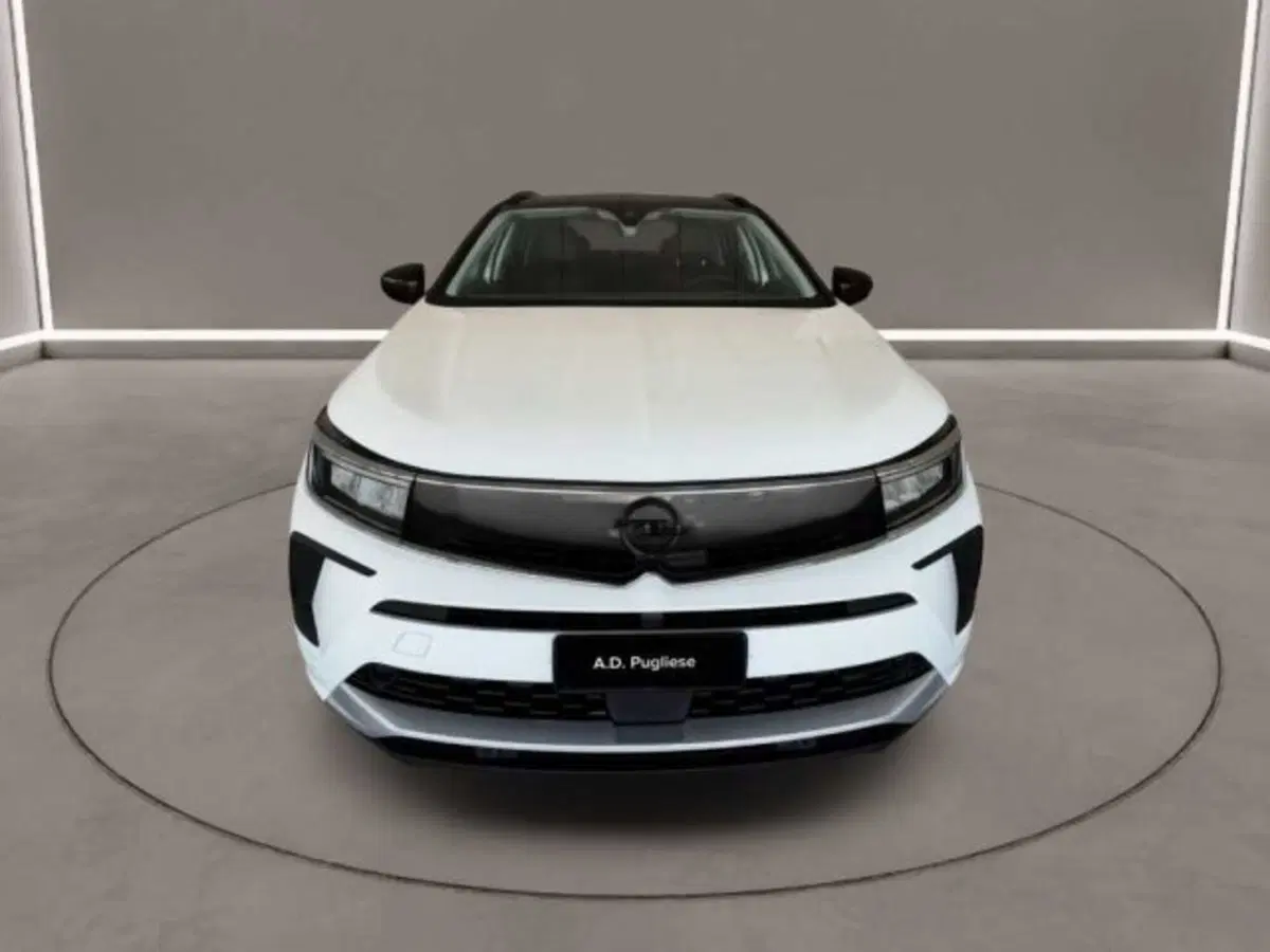 Opel Grandland usata a Caltanissetta (2)