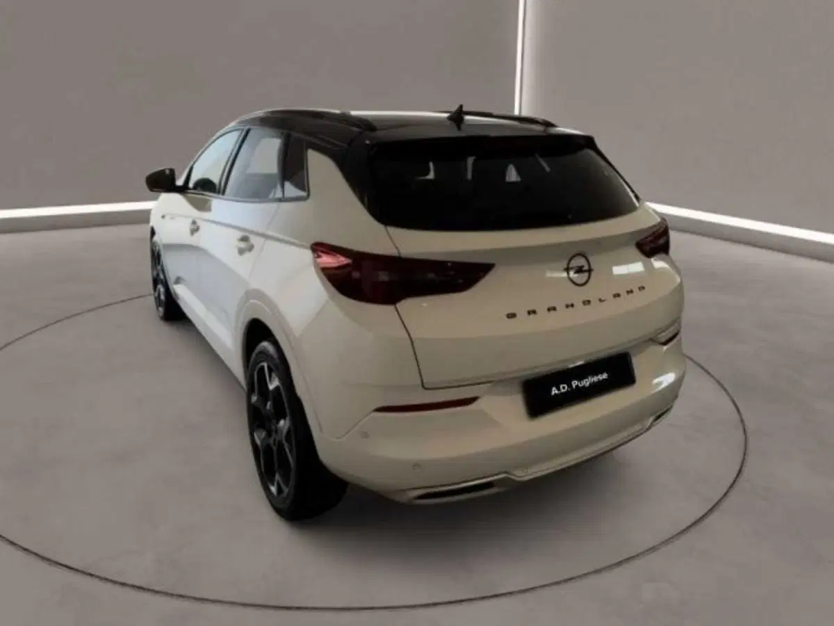 Opel Grandland usata a Caltanissetta (6)