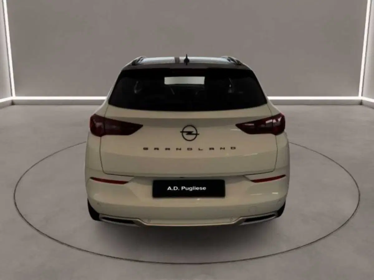 Opel Grandland usata a Caltanissetta (7)