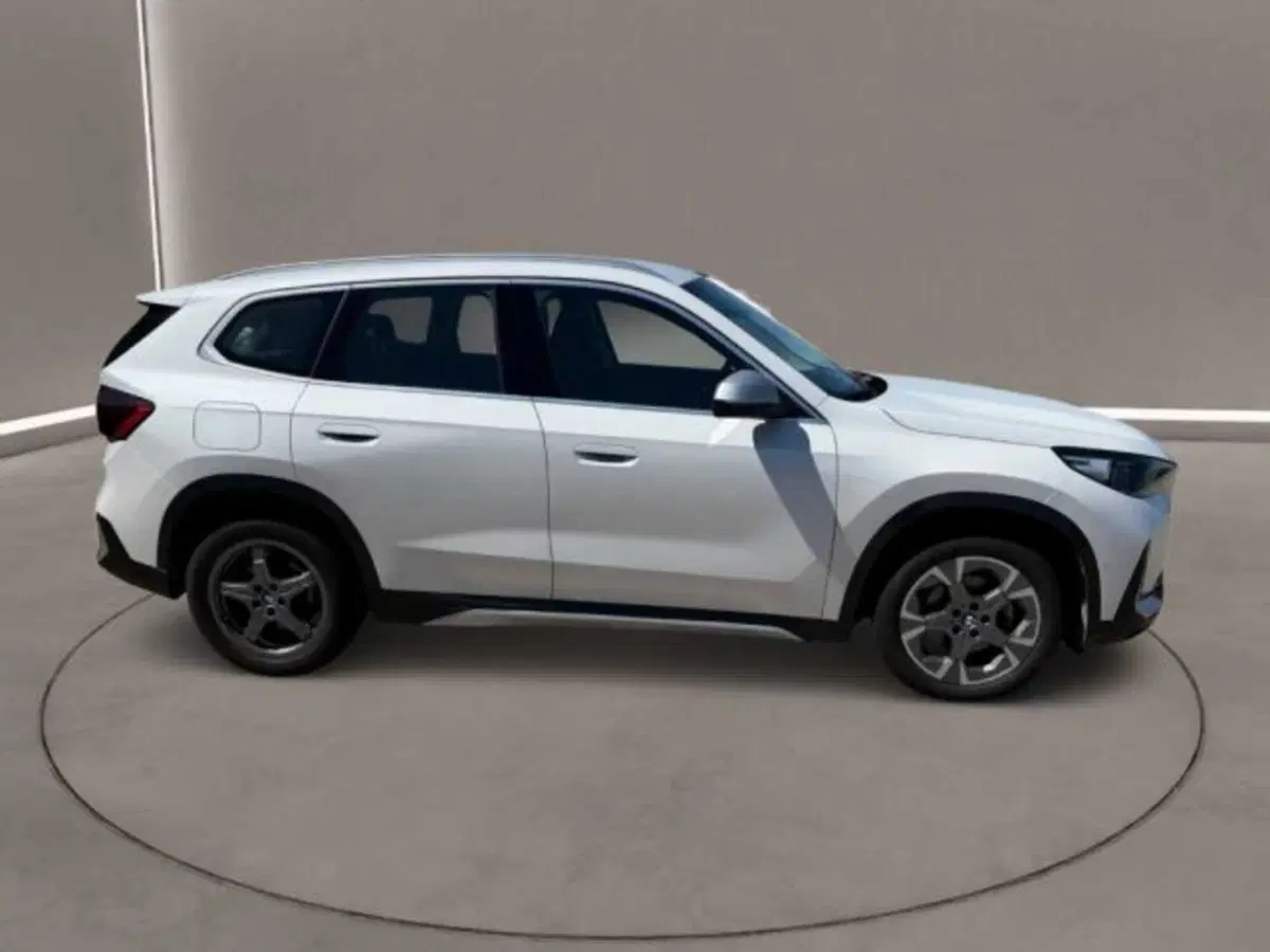 BMW X1 usata a Caltanissetta (8)