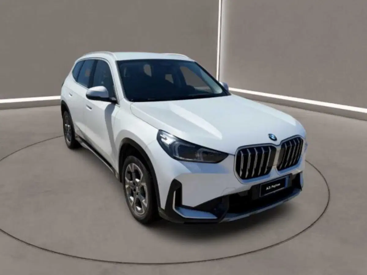 BMW X1 usata a Caltanissetta (9)