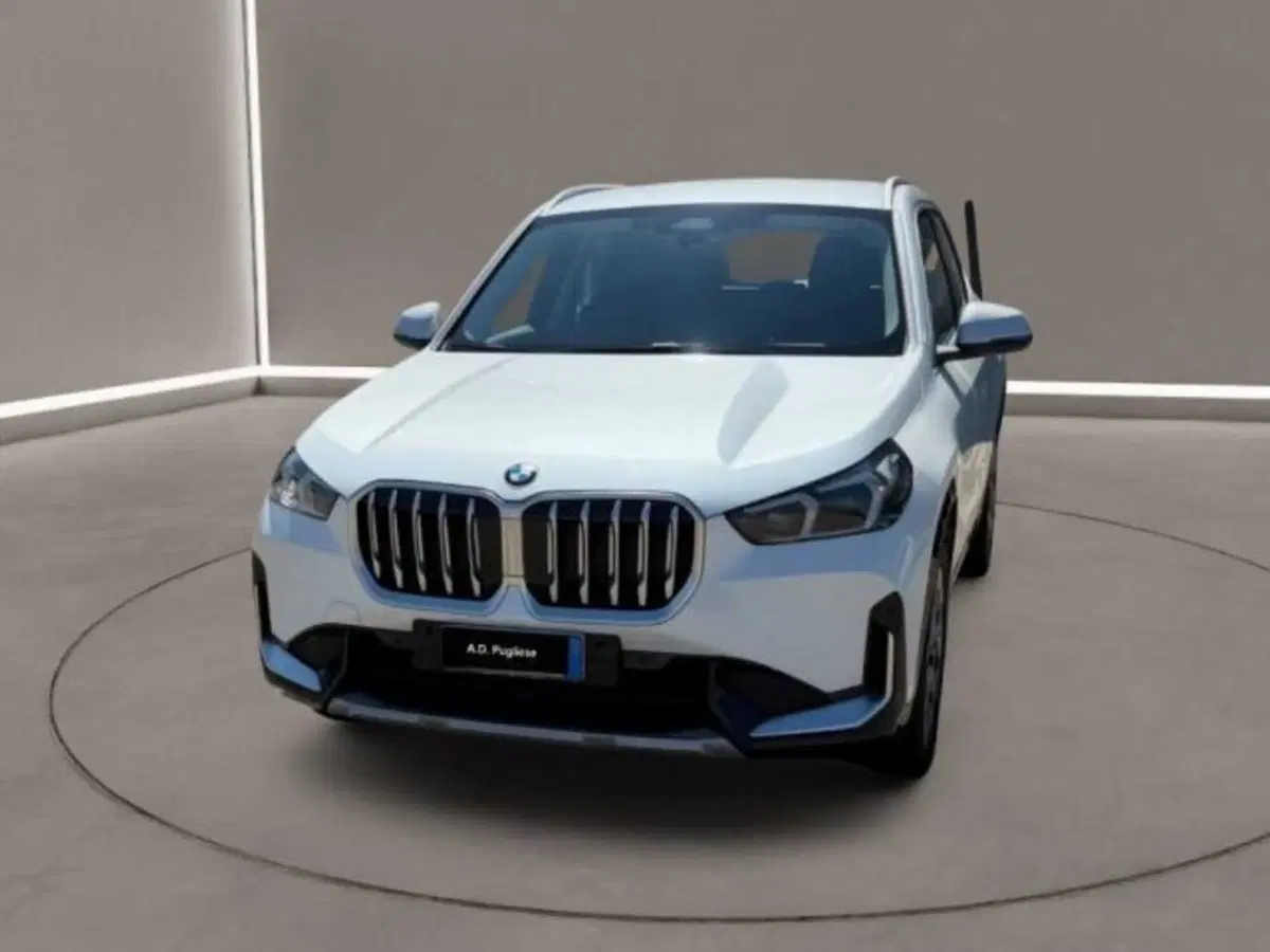 BMW X1 usata a Caltanissetta (16)