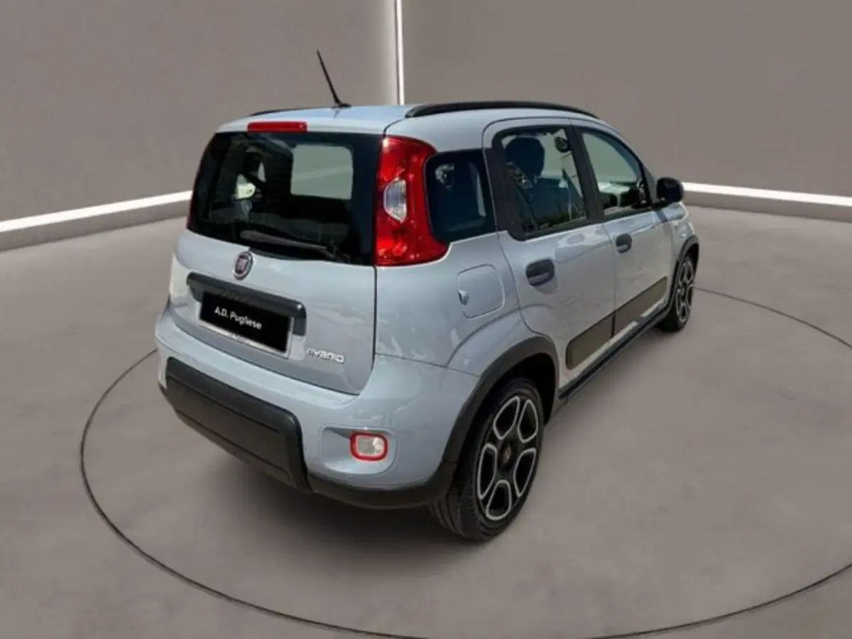 Fiat Panda usata a Caltanissetta (6)