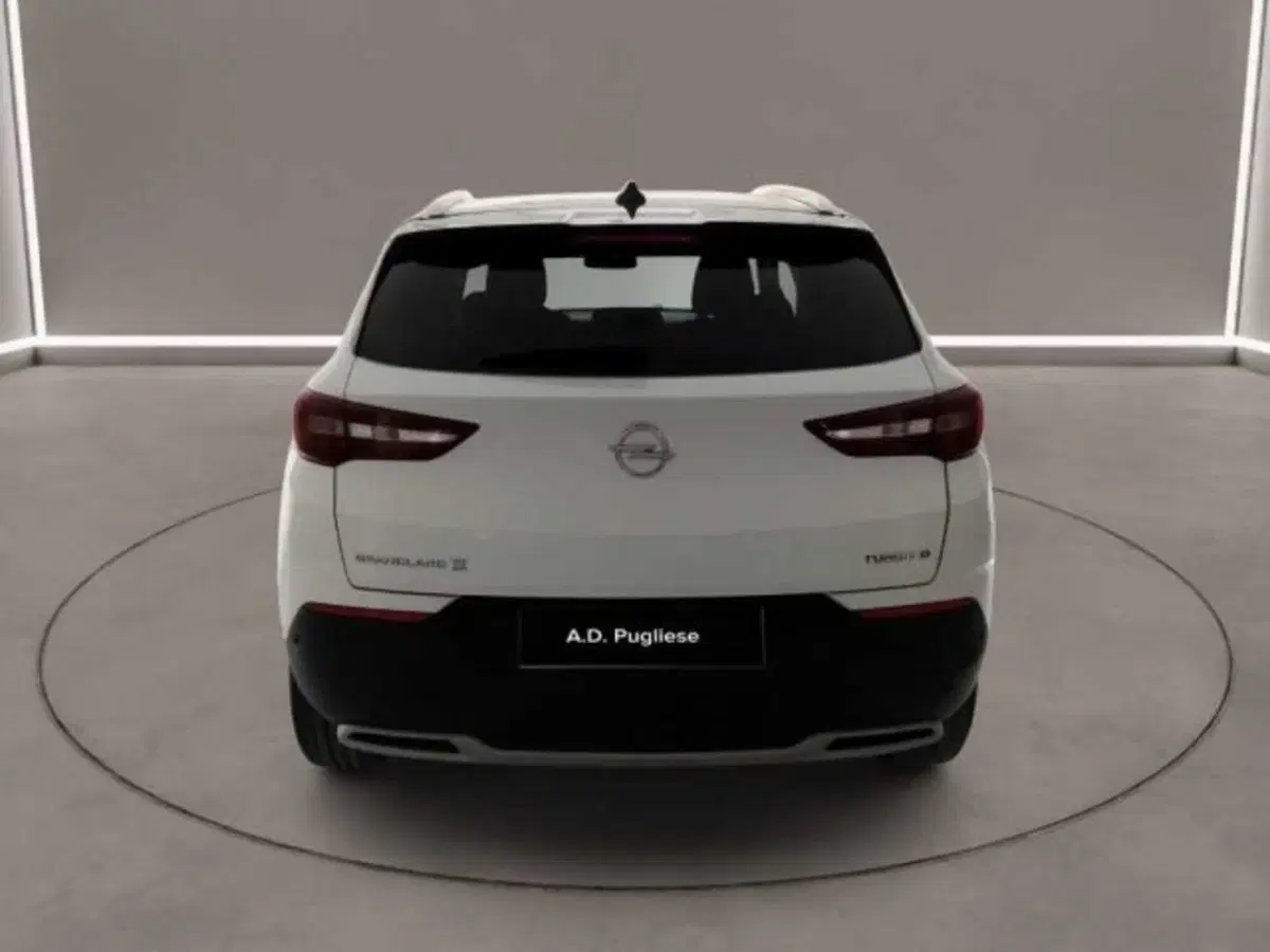 Opel Grandland X usata a Caltanissetta (4)