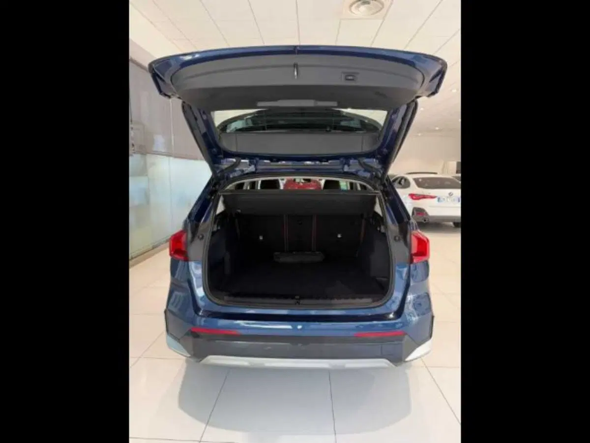 BMW X1 usata a Caltanissetta (9)