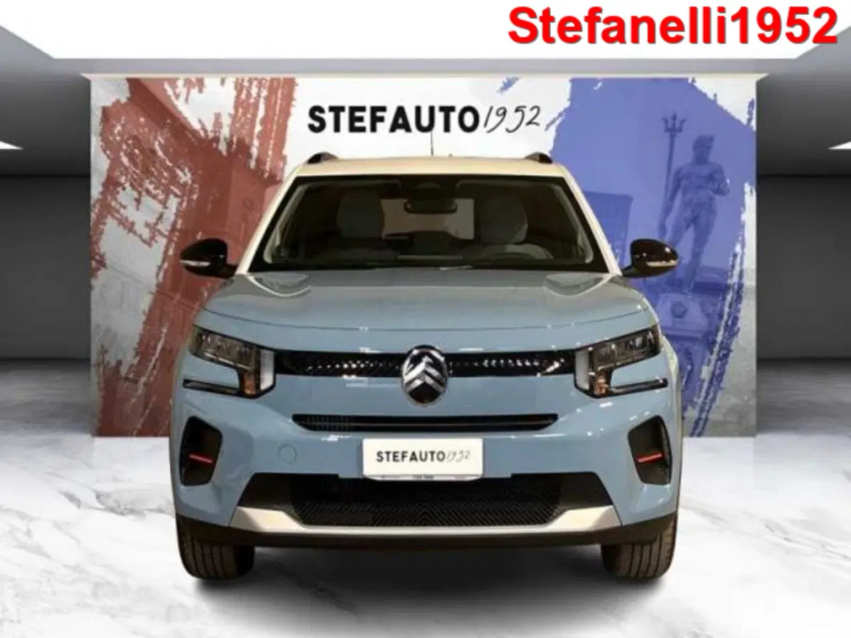 Citroen C3 usata a Bologna (2)