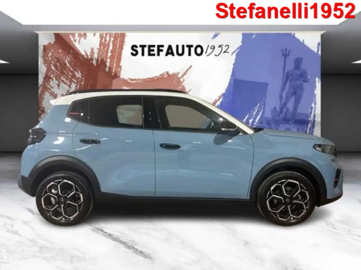 Citroen C3 usata a Bologna (3)