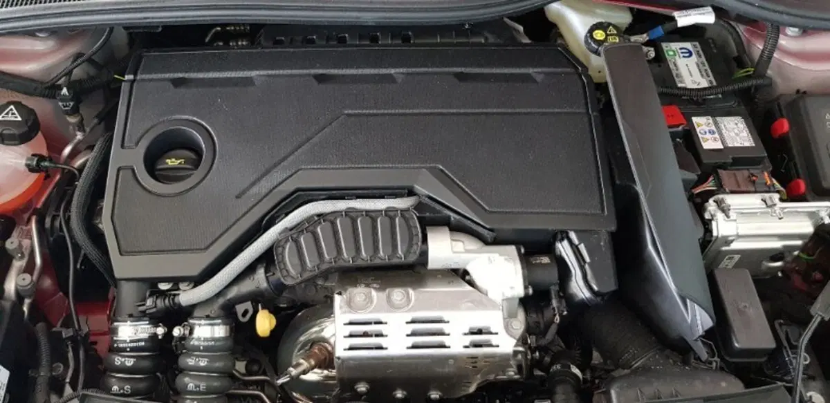 Fiat 600 nuova a Pordenone (10)