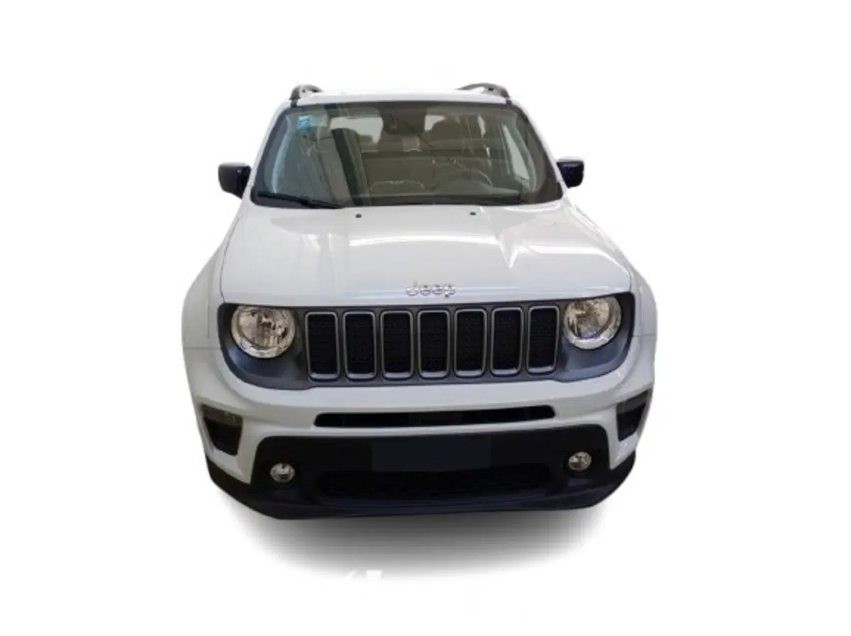Jeep Renegade usata a Bari (11)