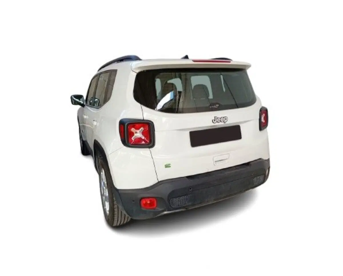 Jeep Renegade usata a Bari (12)