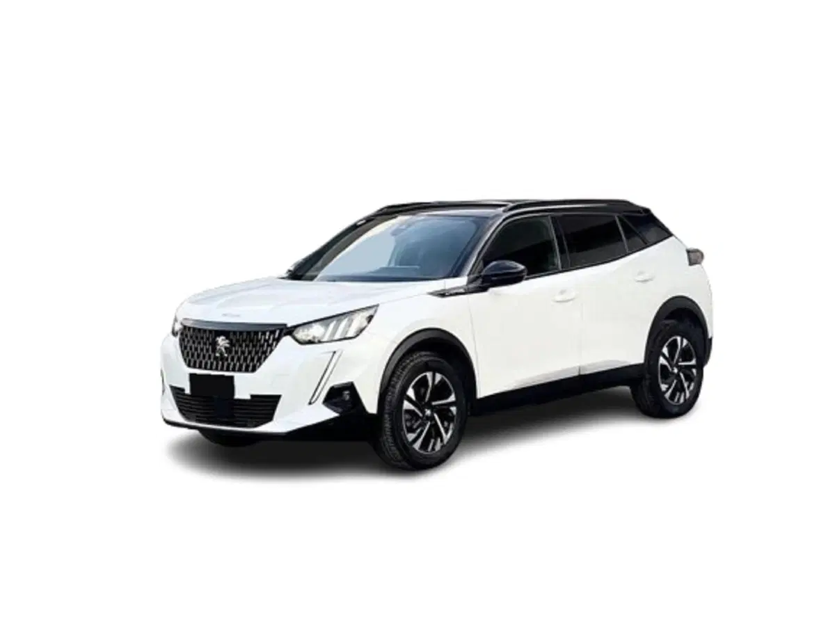 Peugeot 2008 usata a Bari