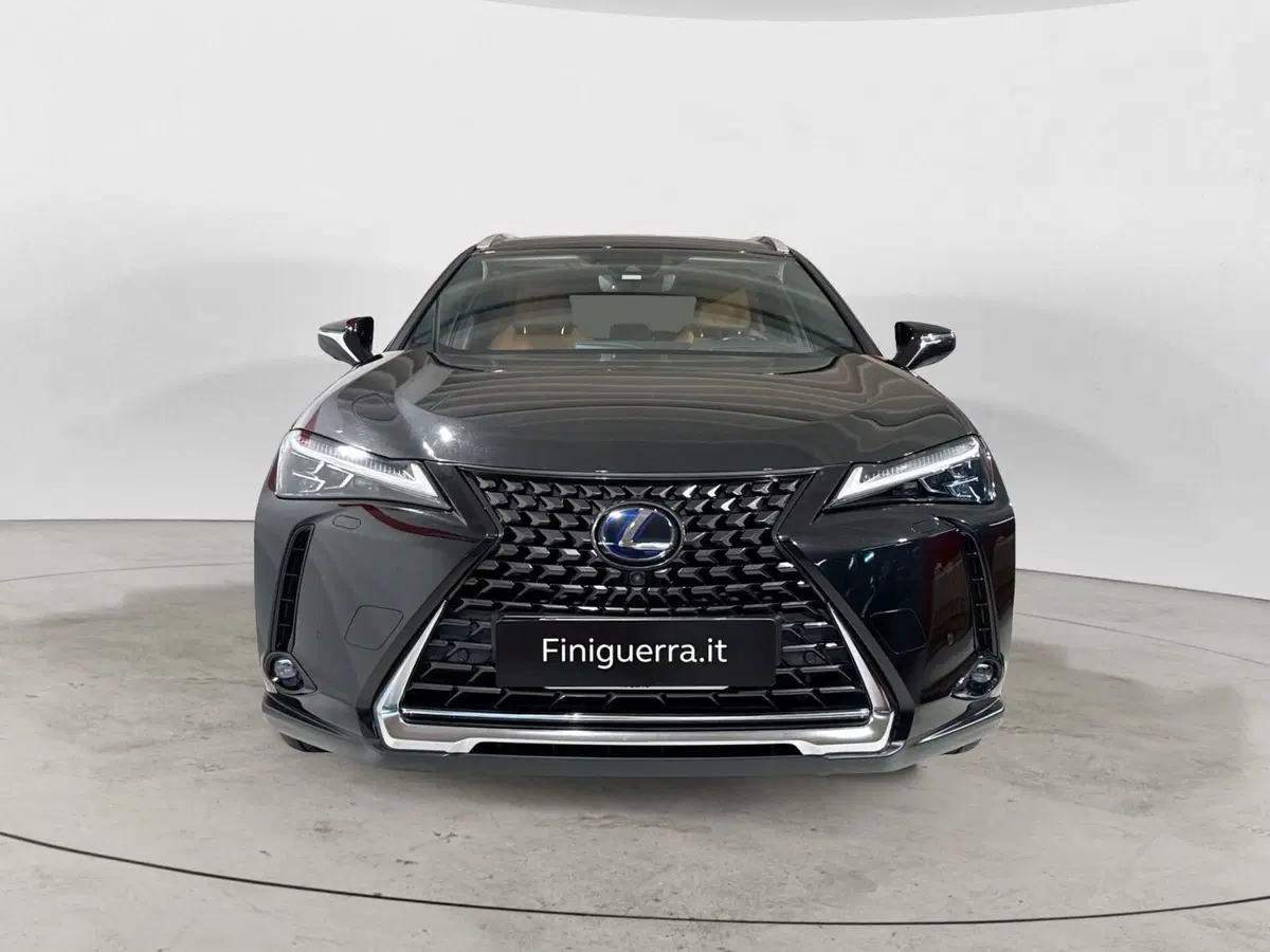 Lexus UX usata a Sondrio (2)