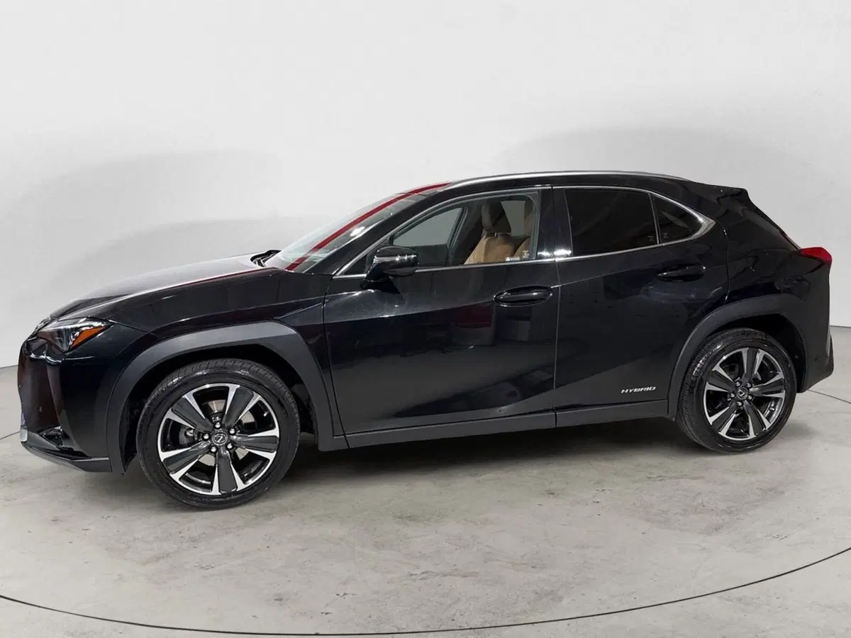 Lexus UX usata a Sondrio (5)