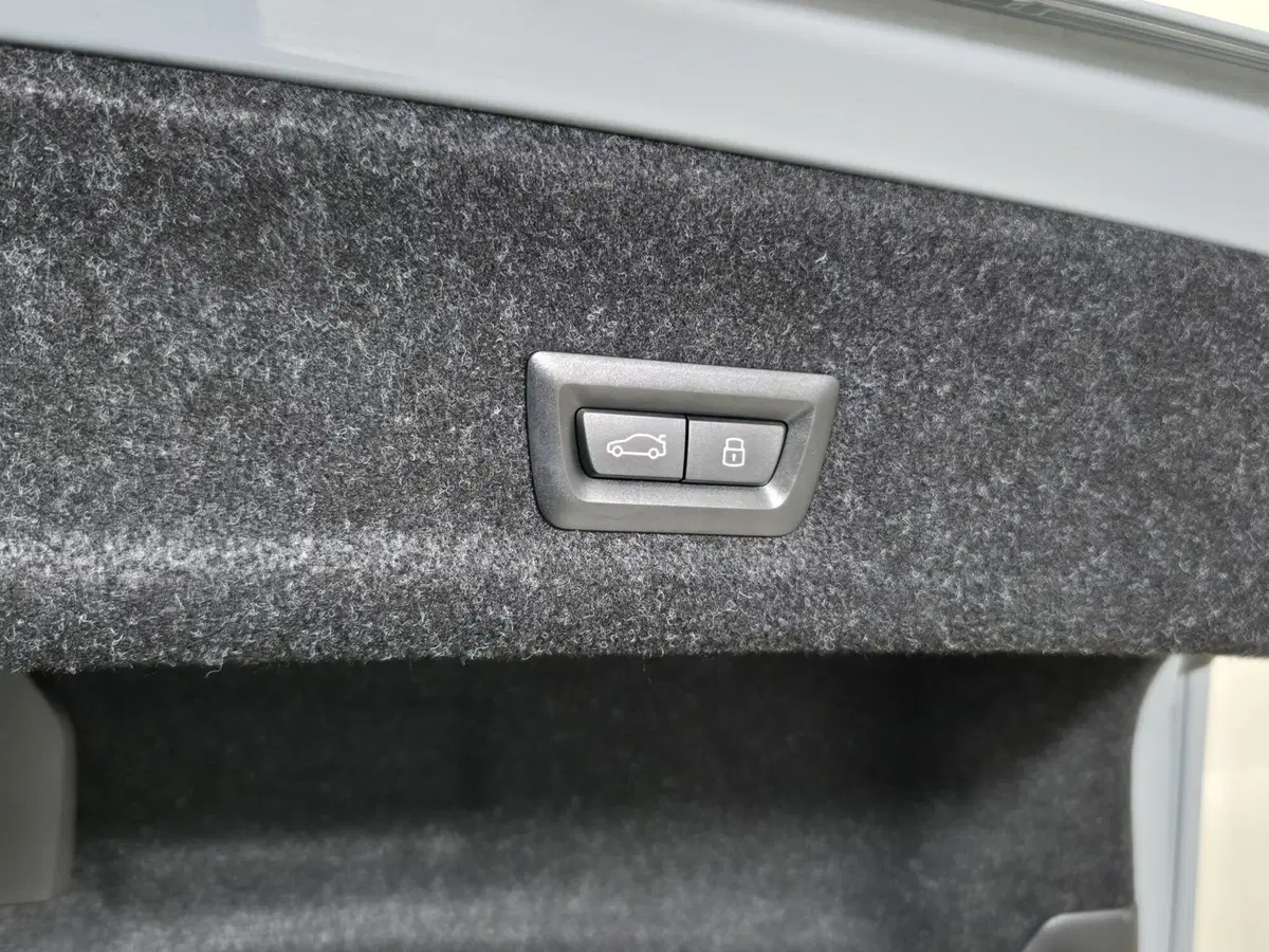 BMW Serie 3 usata a Torino (19)