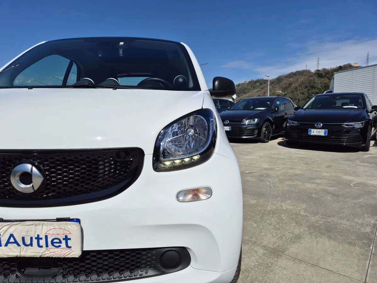 smart Fortwo usata  (14)