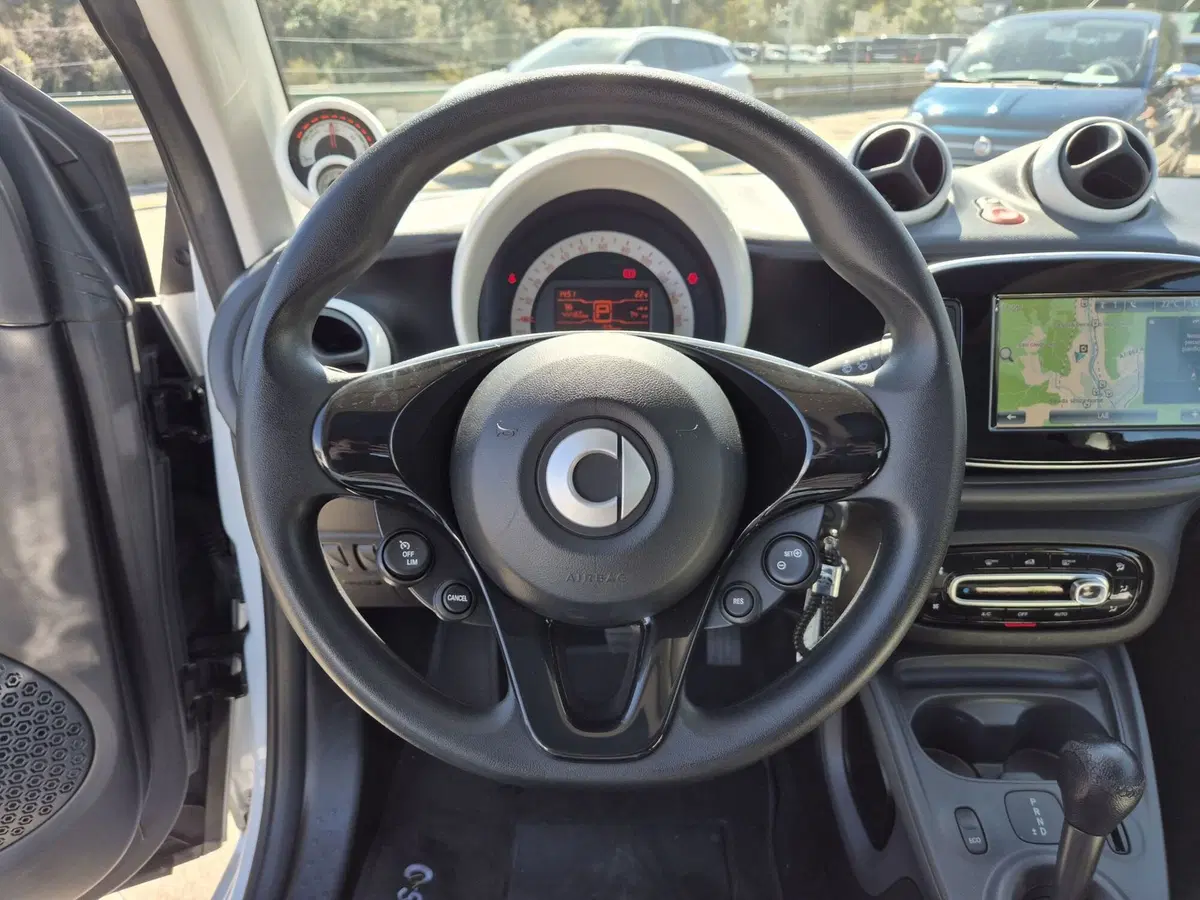 smart Fortwo usata  (15)
