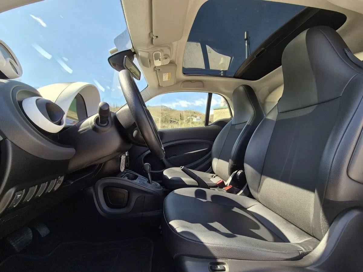 smart Fortwo usata  (16)