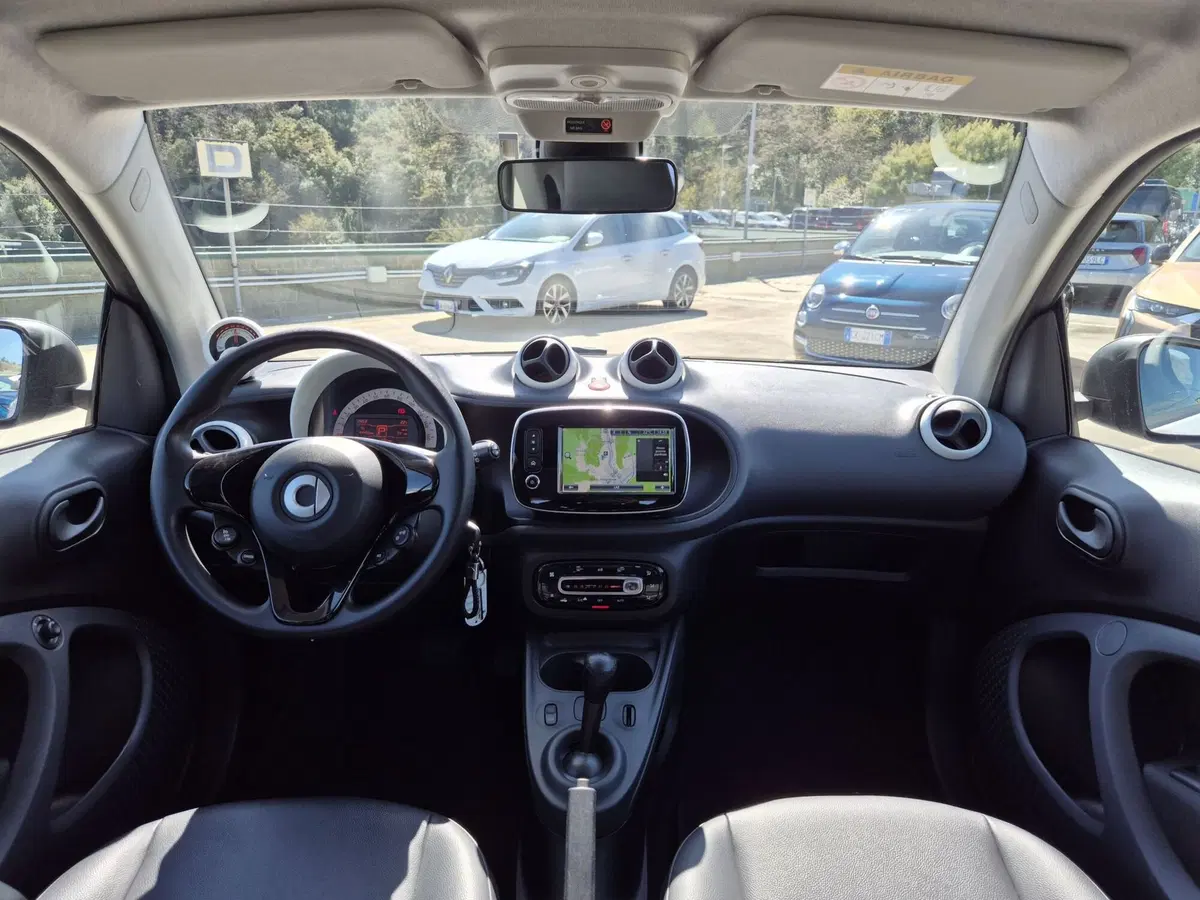 smart Fortwo usata  (7)