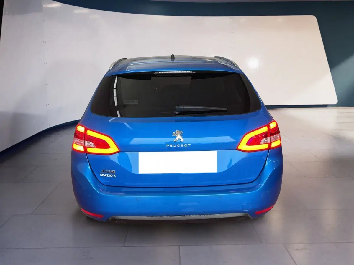 Peugeot 308 SW usata a Torino (5)