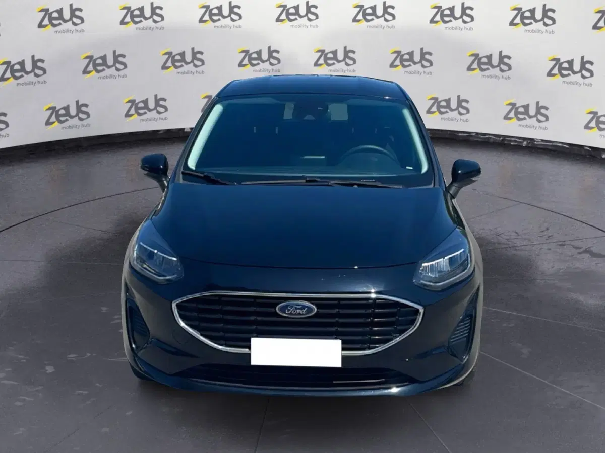 Ford Fiesta usata a Bologna (2)