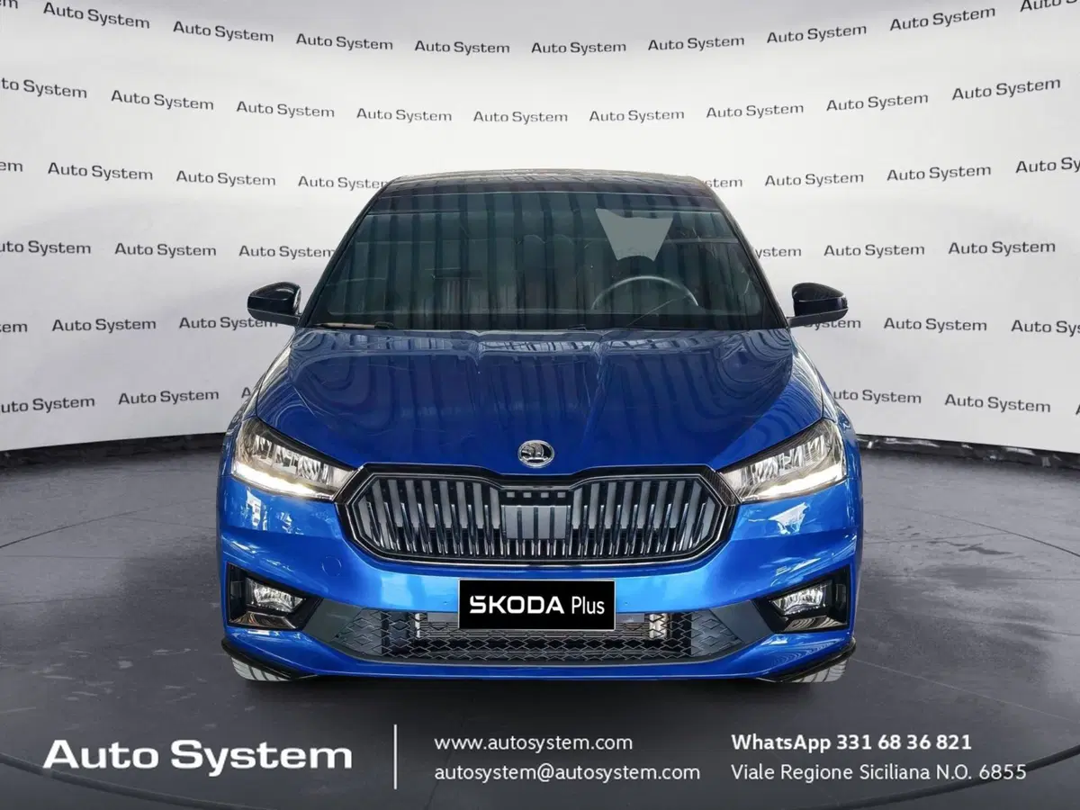Skoda Fabia usata a Palermo (2)