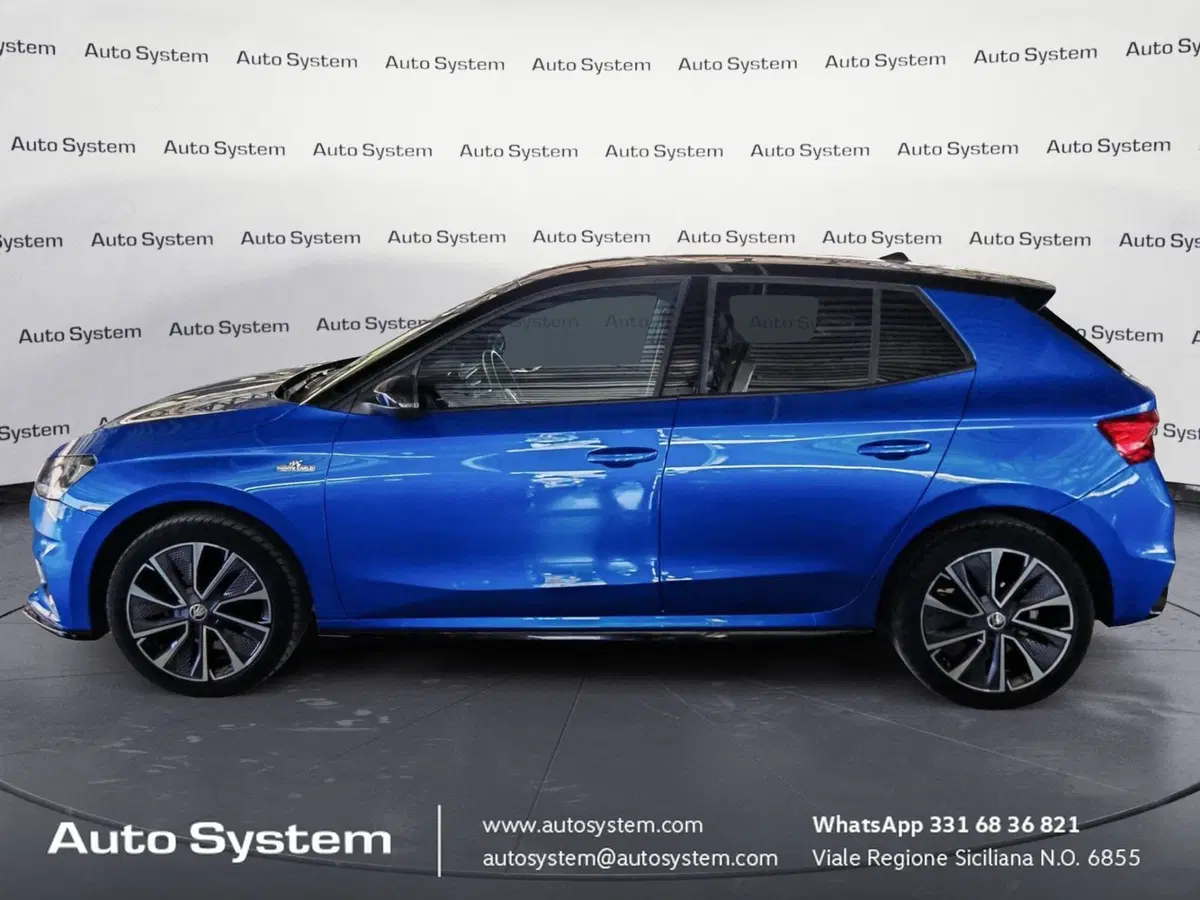 Skoda Fabia usata a Palermo (3)