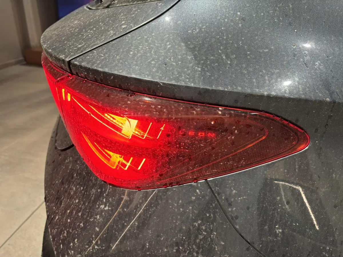 Cupra Leon nuova a Ferrara (14)