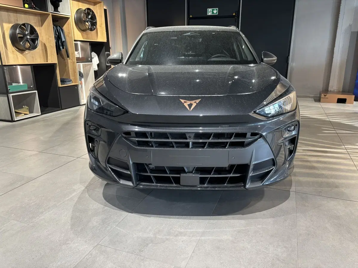 Cupra Terramar nuova a Ferrara (2)