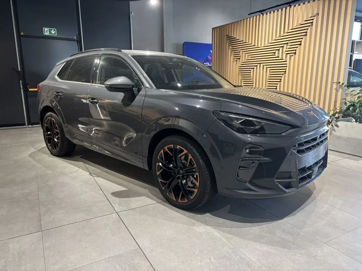 Cupra Terramar nuova a Ferrara (3)
