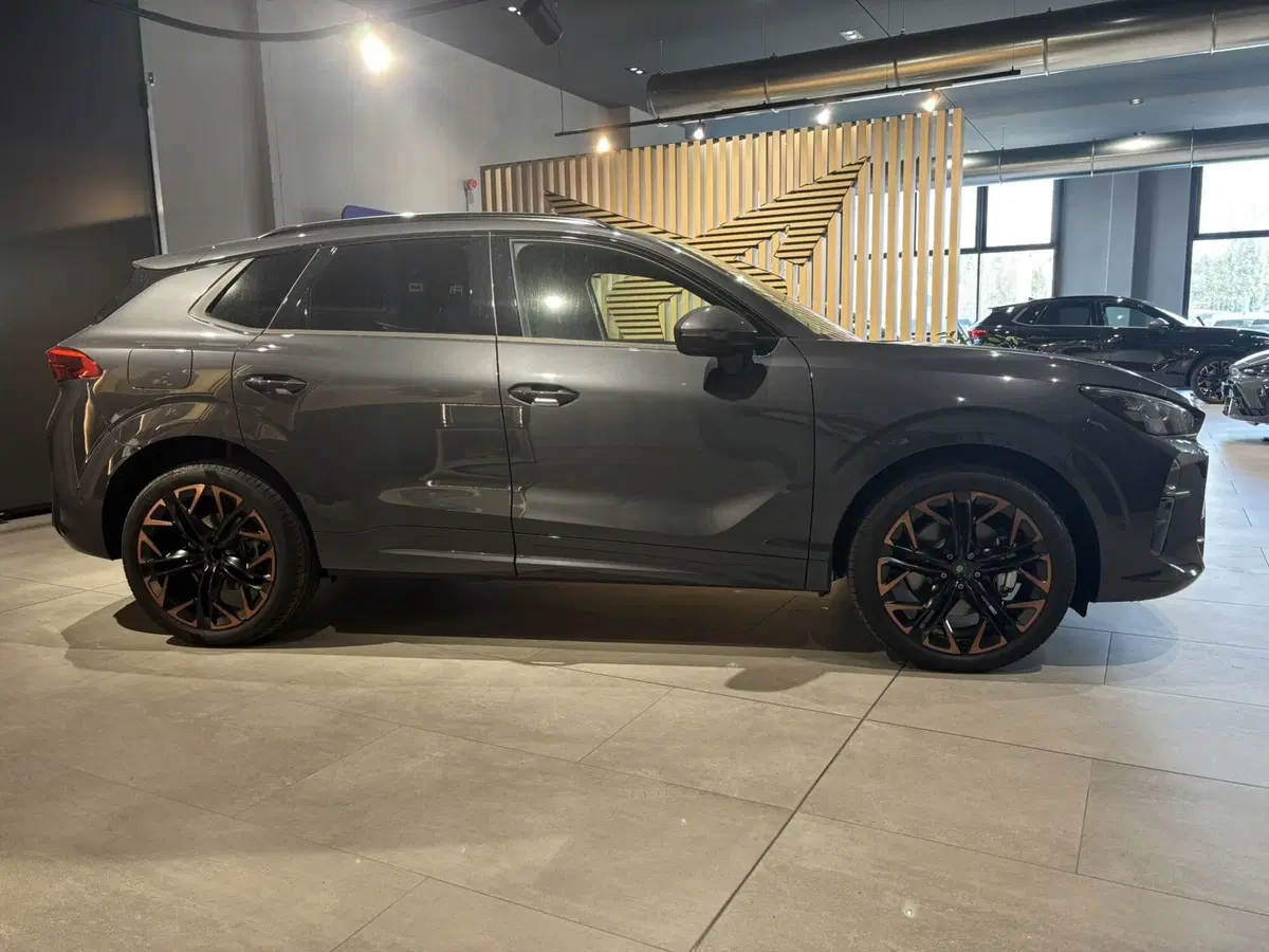 Cupra Terramar nuova a Ferrara (4)