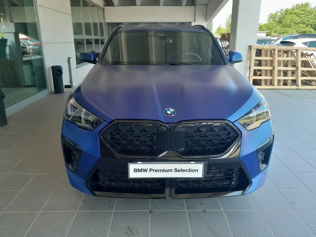 BMW X2 usata a Asti (3)