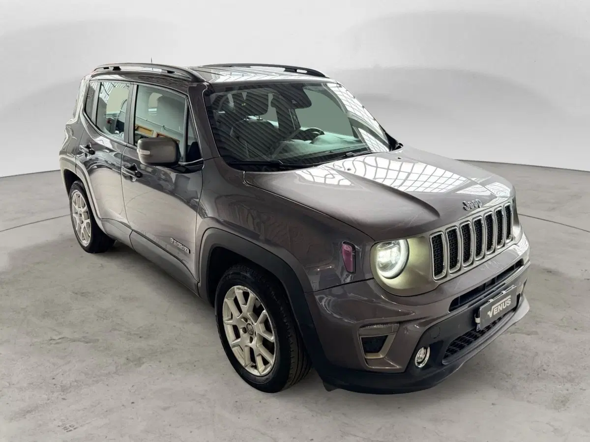 Jeep Renegade usata a Monza e Brianza (17)