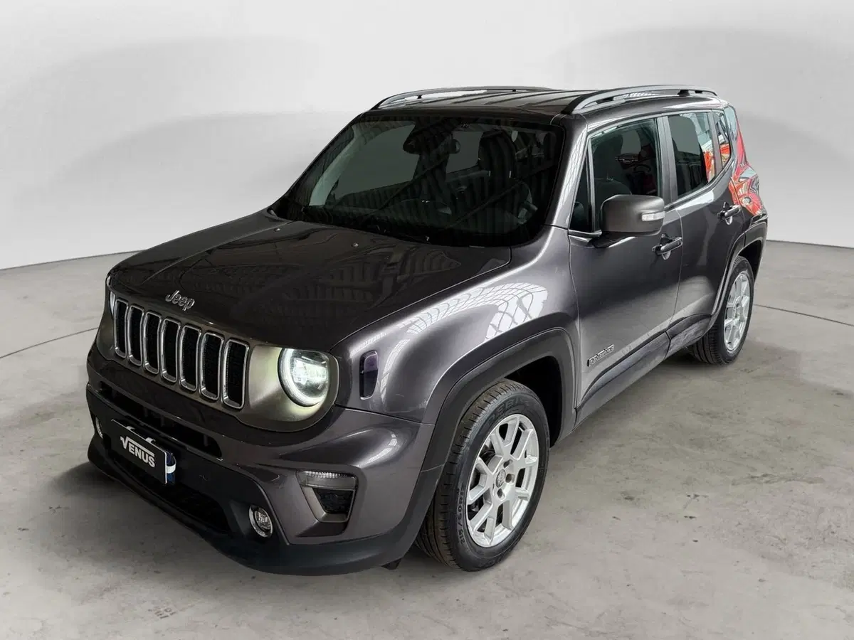 Jeep Renegade usata a Monza e Brianza (2)