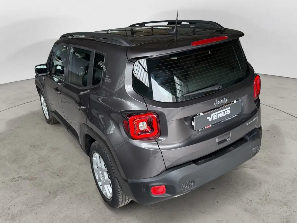 Jeep Renegade usata a Monza e Brianza (4)