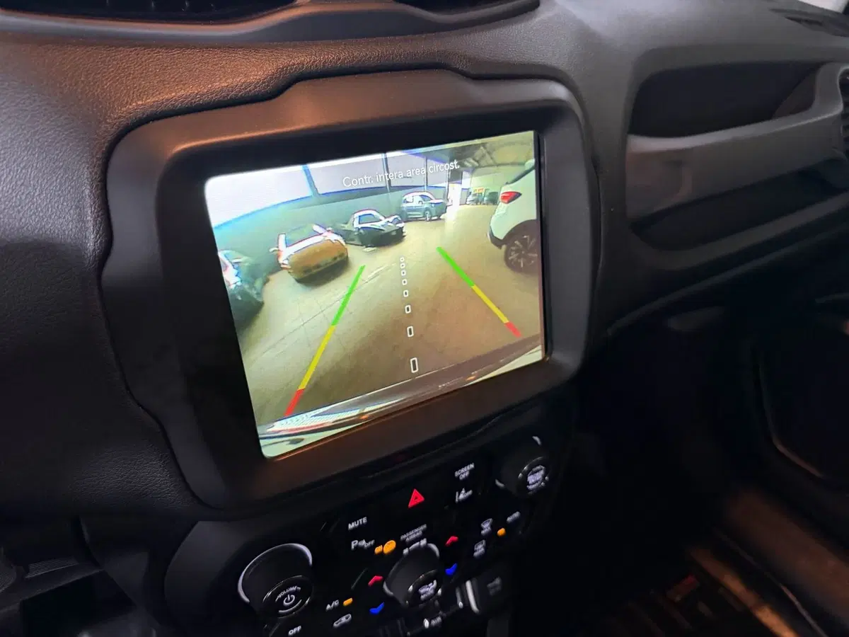 Jeep Renegade usata a Monza e Brianza (9)