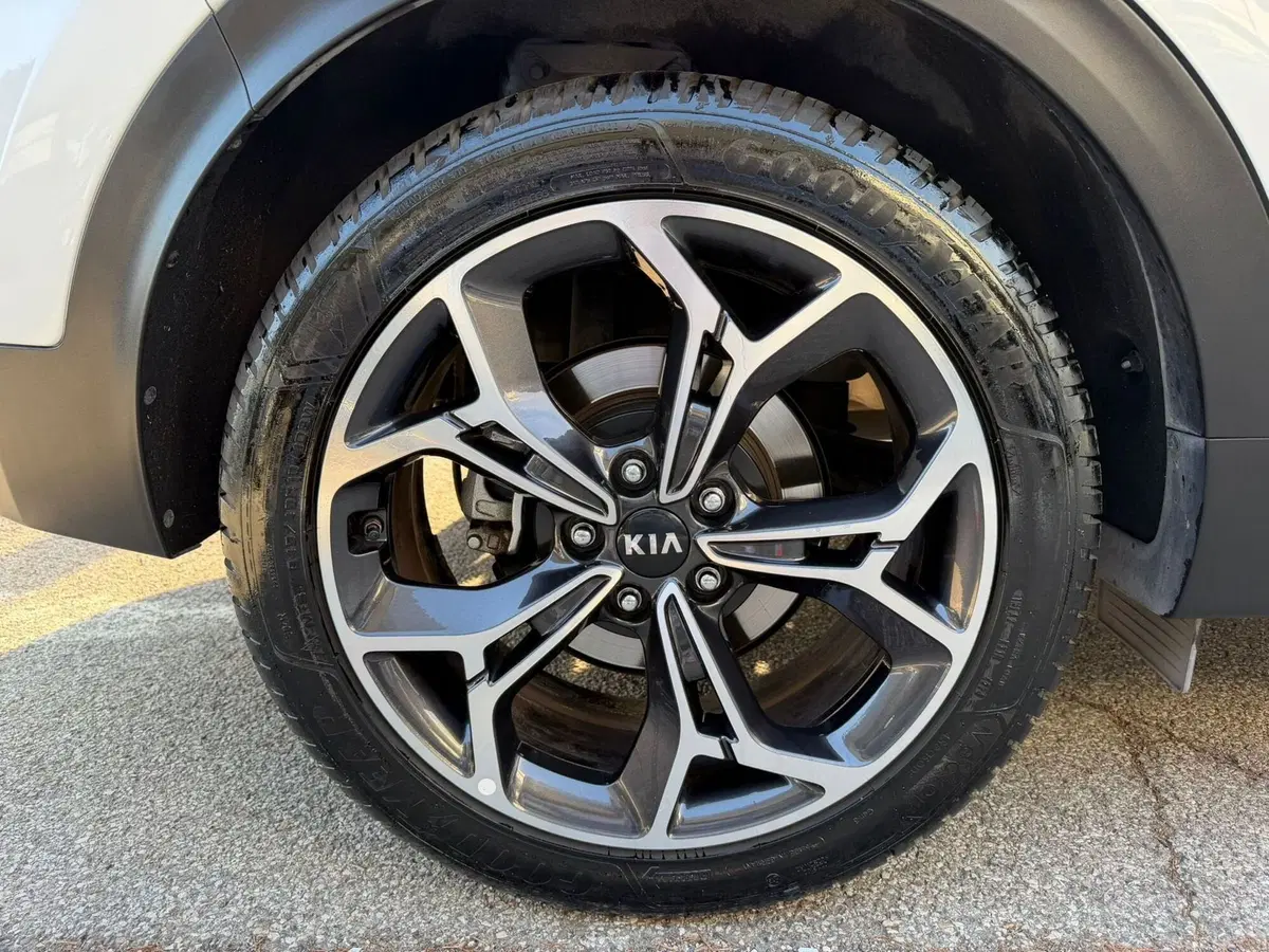 Kia Sportage usata a Rimini (16)
