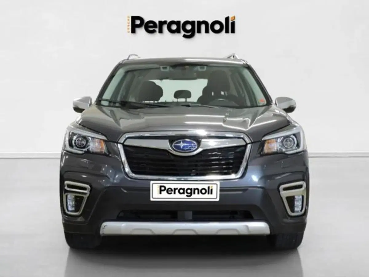 Subaru Forester usata a Firenze (2)