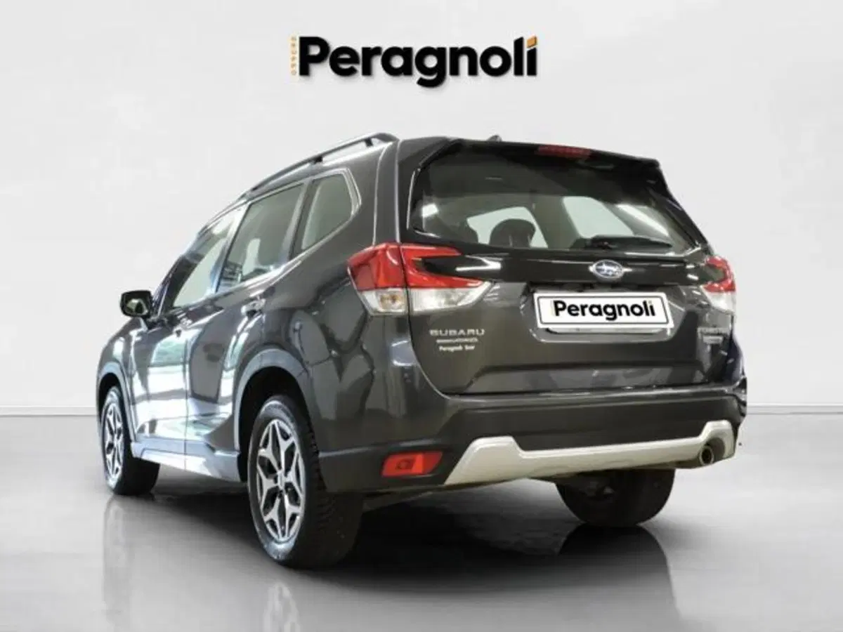Subaru Forester usata a Firenze (4)