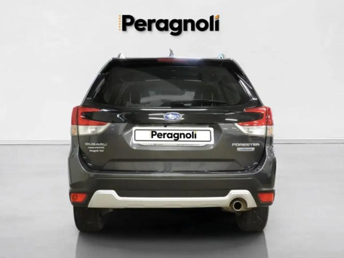 Subaru Forester usata a Firenze (5)