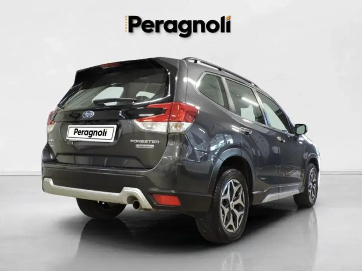 Subaru Forester usata a Firenze (6)