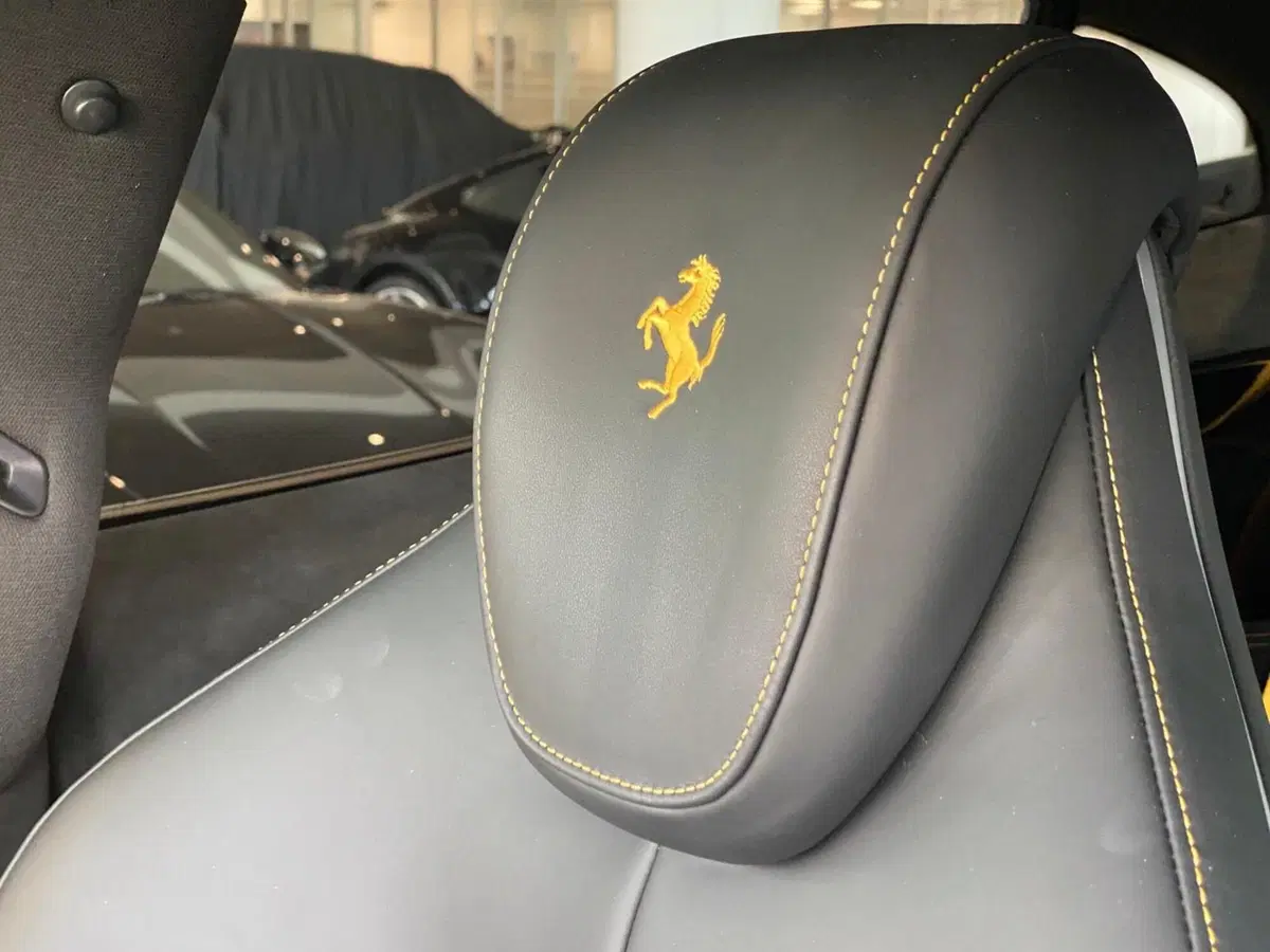 Ferrari Purosangue usata a Firenze (16)