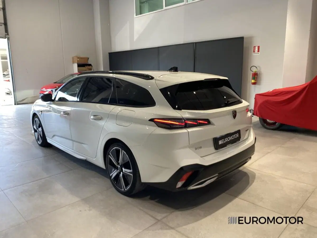 Peugeot 308 SW usata a Bari (10)