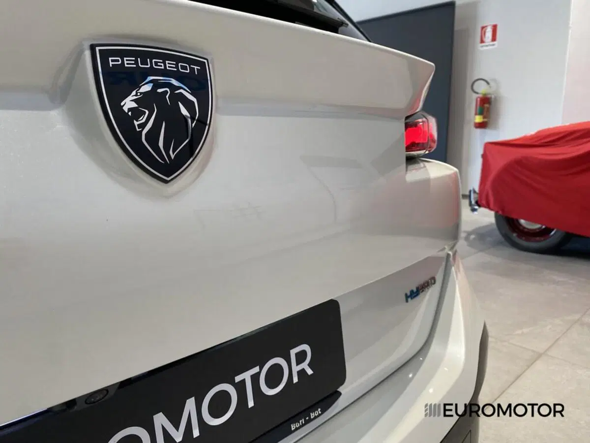 Peugeot 308 SW usata a Bari (12)
